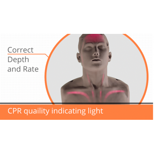 CPR Manikins (all brands)